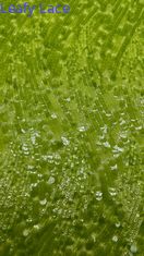 Vải thêu lông dài lâu và thanh lịch Vải thêu sang trọng Lễ cưới Lễ sinh nhật Chất lượng cao Vải thêu lông