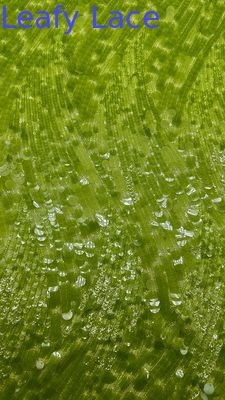 Sequin Embroidery Fabric Durable and Elegant Luxary Embroidery Fabric  Wedding Birthday Occasions Hight Quality Embroidery Sequin Lace Fabric