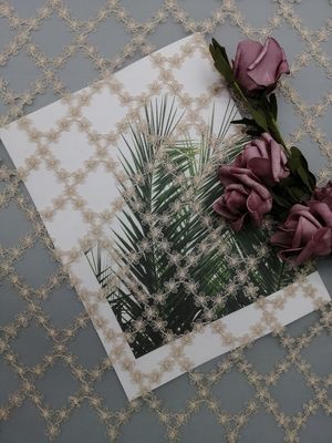 Vải tuyn Thêu kim loại Vải ren trang phục buổi tối