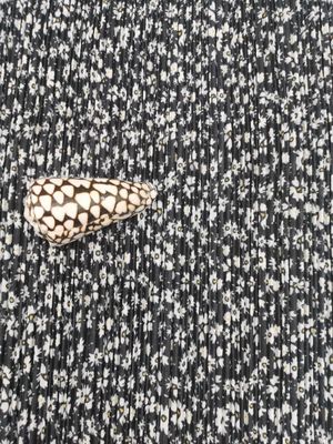 Hoa cúc 100% Polyester lưới in vải ren xếp ly